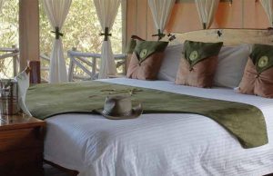 Tipilikwani Mara Camp